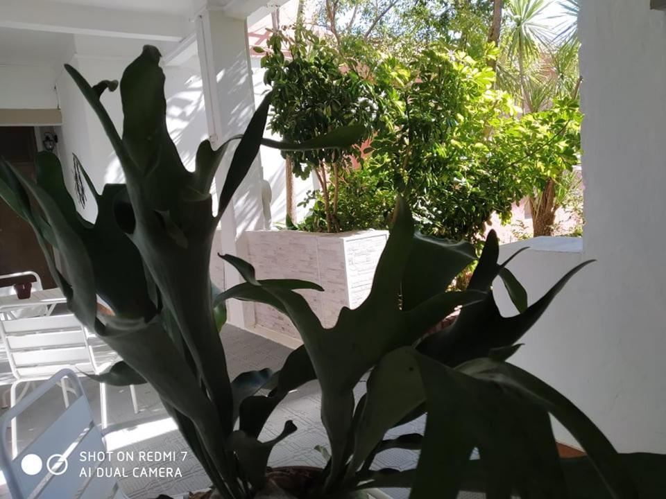 Hosteria Uruguay Piriapolis Exterior photo